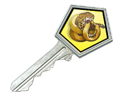 Case Key