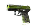 Artwork for [MW] P2000 | Turf