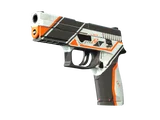 Artwork for P250