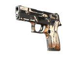 Artwork for [BS] P250 | Bengal Tiger