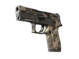 Artwork for [BS] P250 | Black & Tan