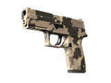 Artwork for [FN] P250 | Black & Tan