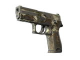 Artwork for [BS] P250 | Bone Mask