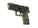 P250 | Boreal Forest (Battle-Scarred)