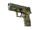 Artwork for [FT] P250 | Boreal Forest