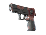 Artwork for [FN] P250 | Constructivist