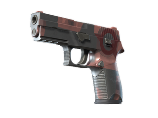 P250 | Constructivist