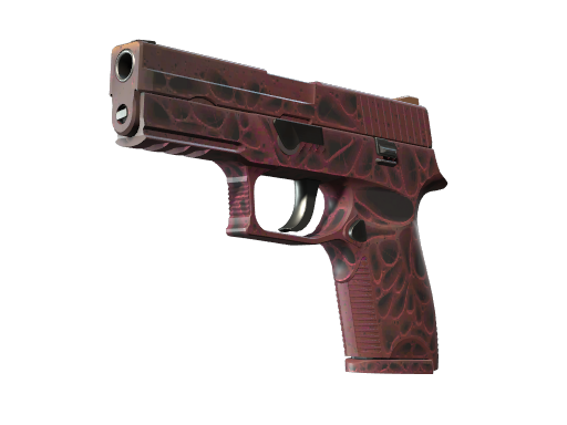 P250 | Contaminant