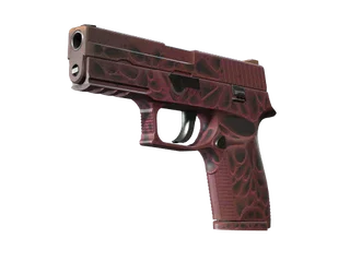 P250 | Contaminant