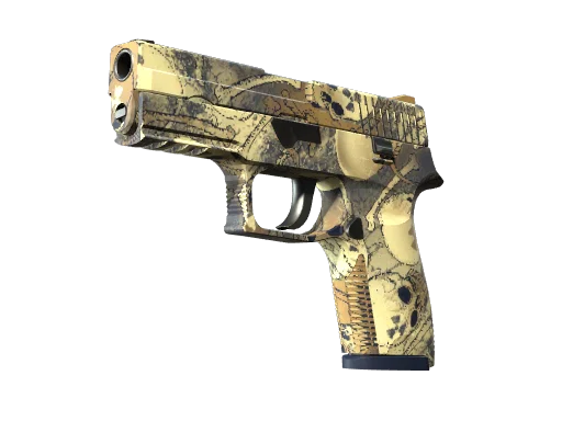 P250 | Contamination