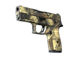 Artwork for [FT] P250 | Contamination