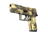 Artwork for [MW] P250 | Contamination
