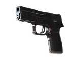 Artwork for [FN] P250 | Dark Filigree