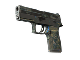 Artwork for [BS] P250 | Exchanger