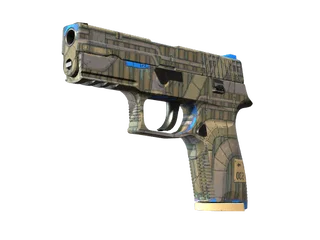 P250 | Exchanger