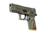 Artwork for [MW] P250 | Exchanger