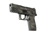 Artwork for [WW] P250 | Facets