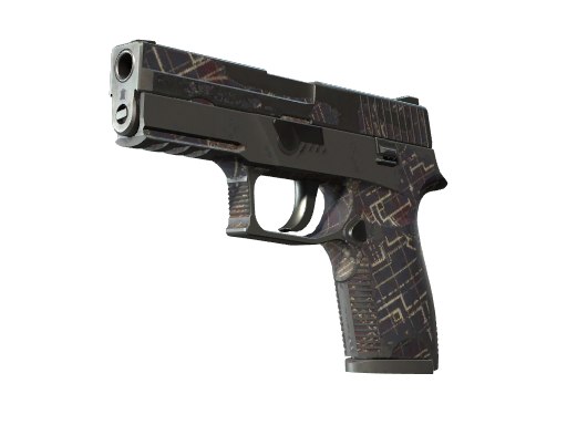 P250 | Facility Draft