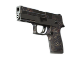 Artwork for [BS] P250 | Facility Draft