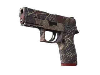 P250 | Facility Draft