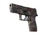 Artwork for [WW] P250 | Facility Draft