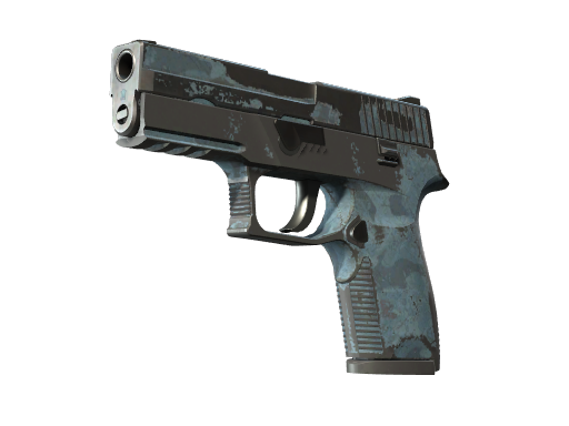 P250 | Forest Night