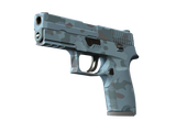 Artwork for [MW] P250 | Forest Night