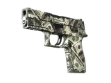 Artwork for [WW] P250 | Franklin