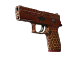 Artwork for [FN] P250 | Hive