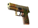Artwork for [FN] P250 | Inferno