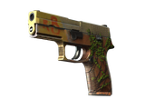 Artwork for [FT] P250 | Inferno