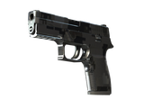 Artwork for [FN] P250 | Metallic DDPAT