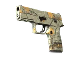 Artwork for [MW] P250 | Modern Hunter