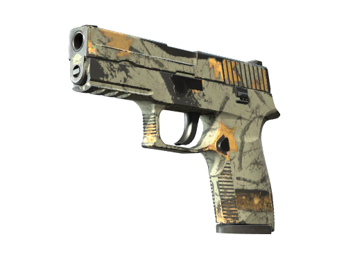 P250 | Modern Hunter
