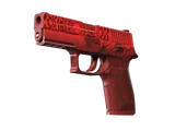 Artwork for P250