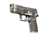 Artwork for [FN] P250 | Re.built