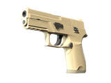 Artwork for [FN] P250 | Sand Dune