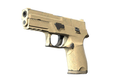 Artwork for [FT] P250 | Sand Dune