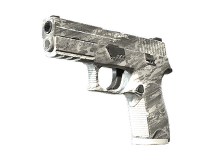 P250 | Sleet