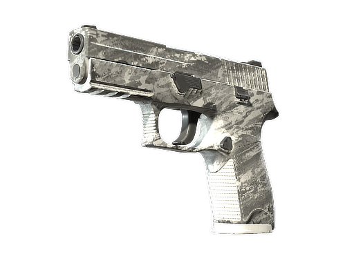 P250 | Sleet