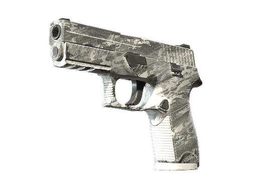 P250 | Sleet