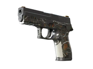 P250 | Small Game