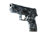 Artwork for [FN] P250 | Steel Disruption