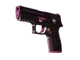 Artwork for [FN] P250 | Vino Primo