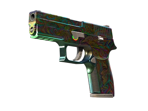 P250 | Visions (Well-Worn)