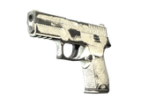 Artwork for [BS] P250 | Whiteout