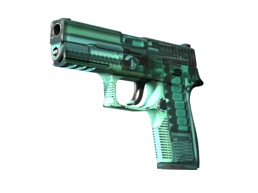P250 | X-Ray