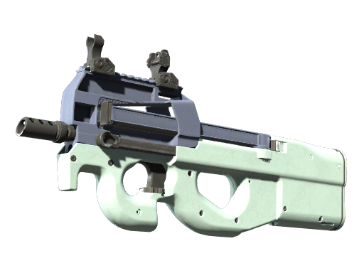P90 | Storm (Factory New)