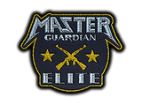 Artwork for Patch | Metal Master Guardian Elite