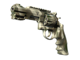 Artwork for [FN] R8 Revolver | Bone Mask
